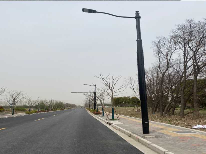 礼县上海综合杆 太阳能路灯工程